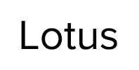 Ремонт стиральных машин Lotus в Истре